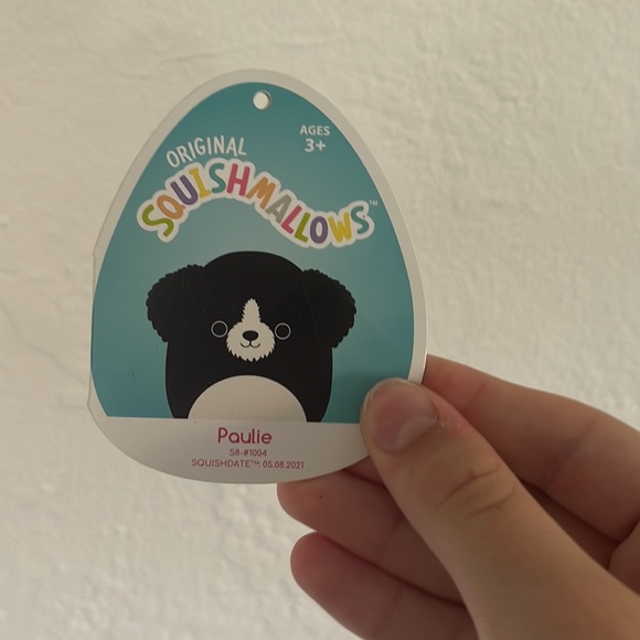 8” Paulie and 5” rainbow zebra - Picture 5 of 6